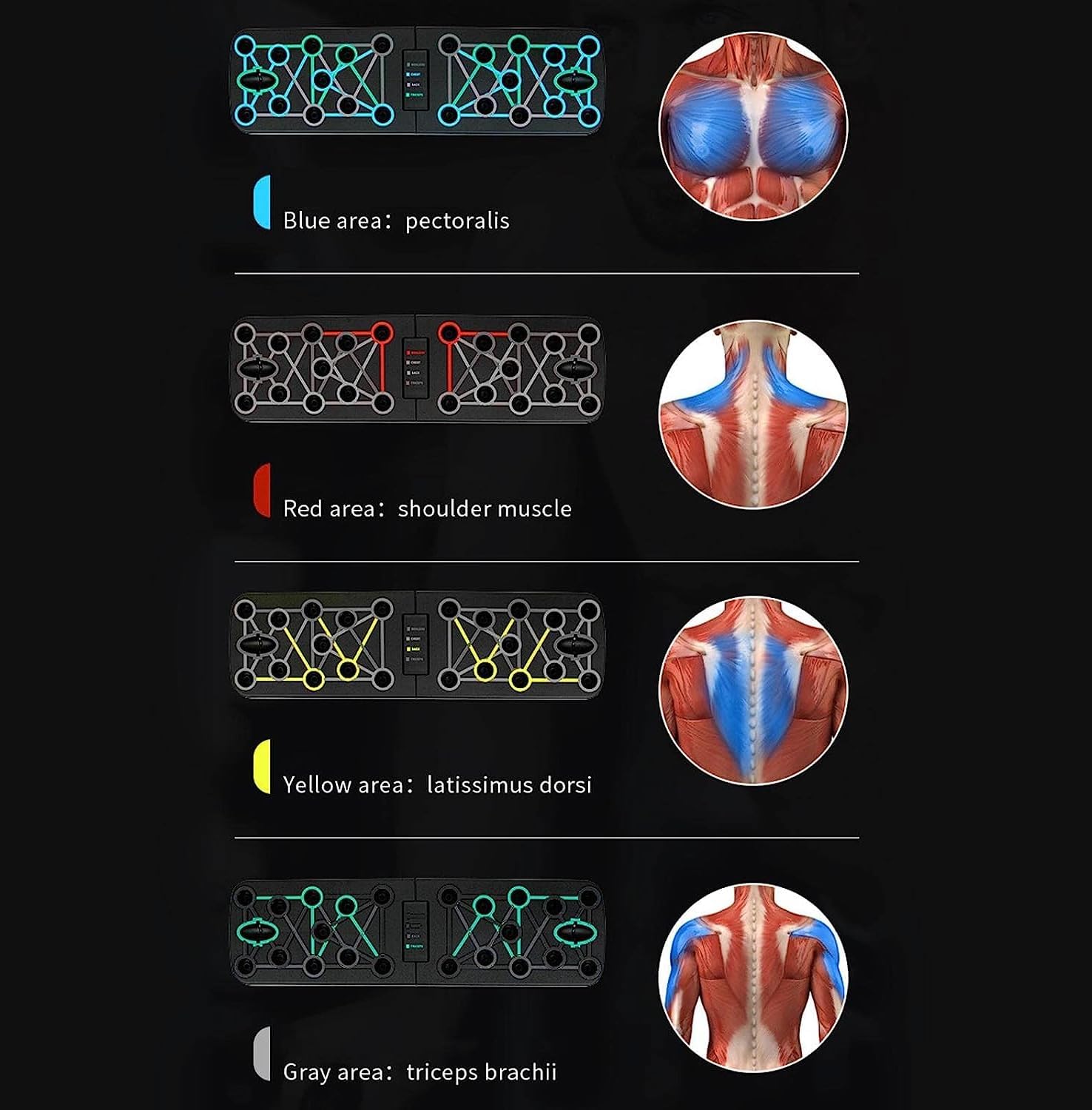 Suport pliabil, Zola®, pentru flotari si exercitii, antiderapant, 63 x 18 cm Suport pliabil, Zola®, pentru flotari si exercitii, antiderapant, 63 x 18 cm